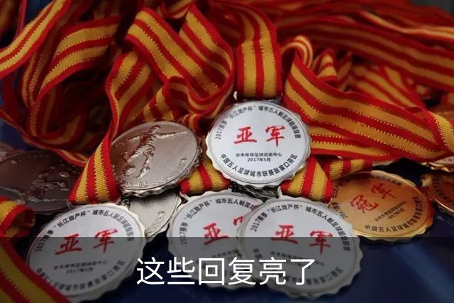 这些回复亮了